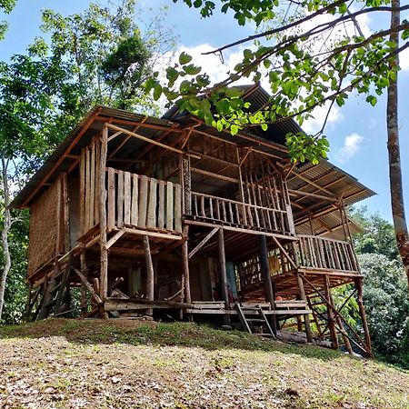 Orangutantreksumatra & Lovely Jungle Lodge Only Book If You Are Treking With Us Bukit Lawang Εξωτερικό φωτογραφία