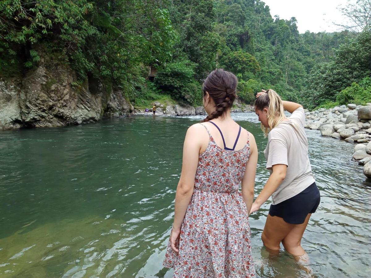 Orangutantreksumatra & Lovely Jungle Lodge Only Book If You Are Treking With Us Bukit Lawang Εξωτερικό φωτογραφία