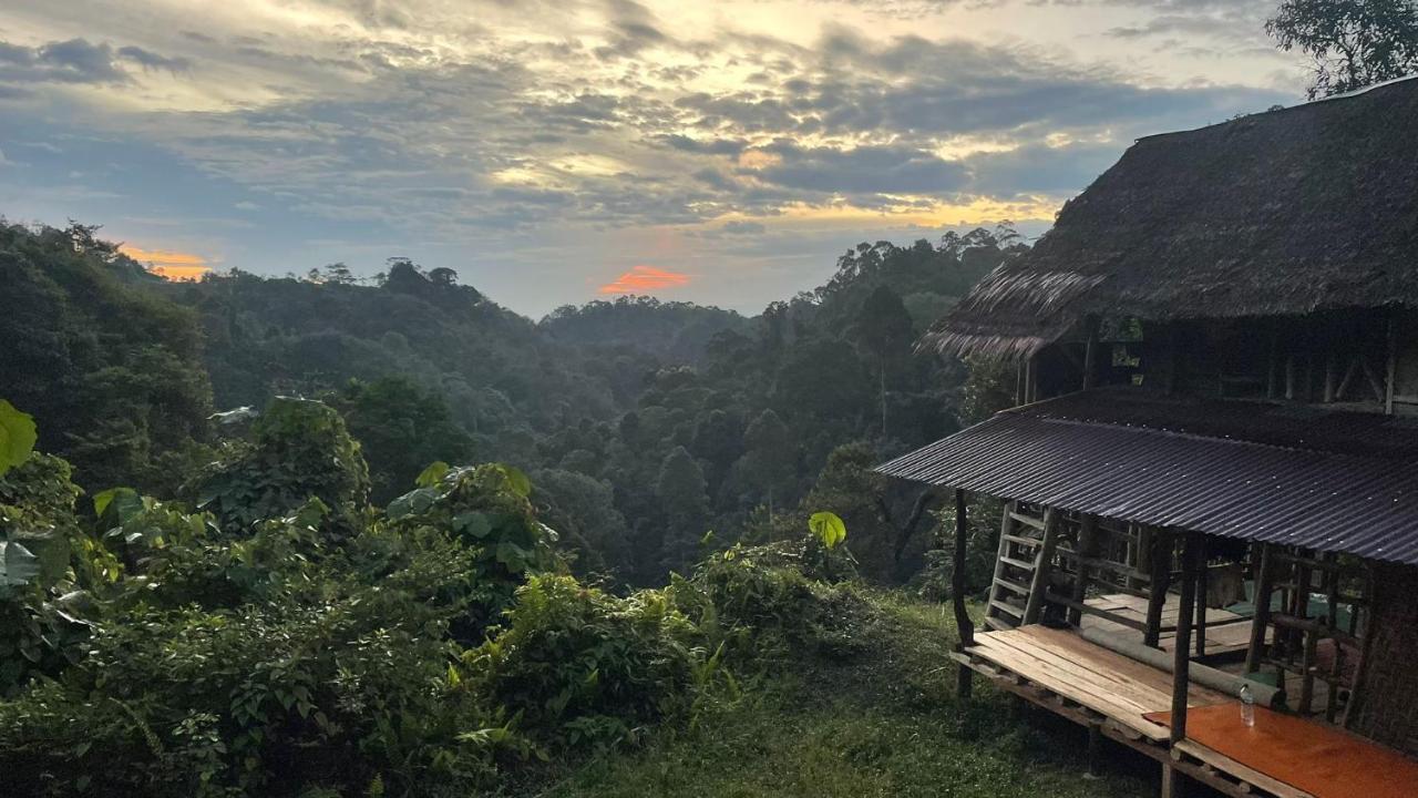 Orangutantreksumatra & Lovely Jungle Lodge Only Book If You Are Treking With Us Bukit Lawang Εξωτερικό φωτογραφία