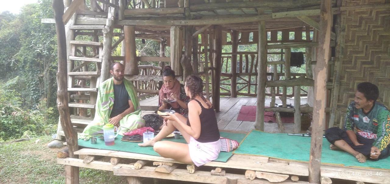 Orangutantreksumatra & Lovely Jungle Lodge Only Book If You Are Treking With Us Bukit Lawang Εξωτερικό φωτογραφία