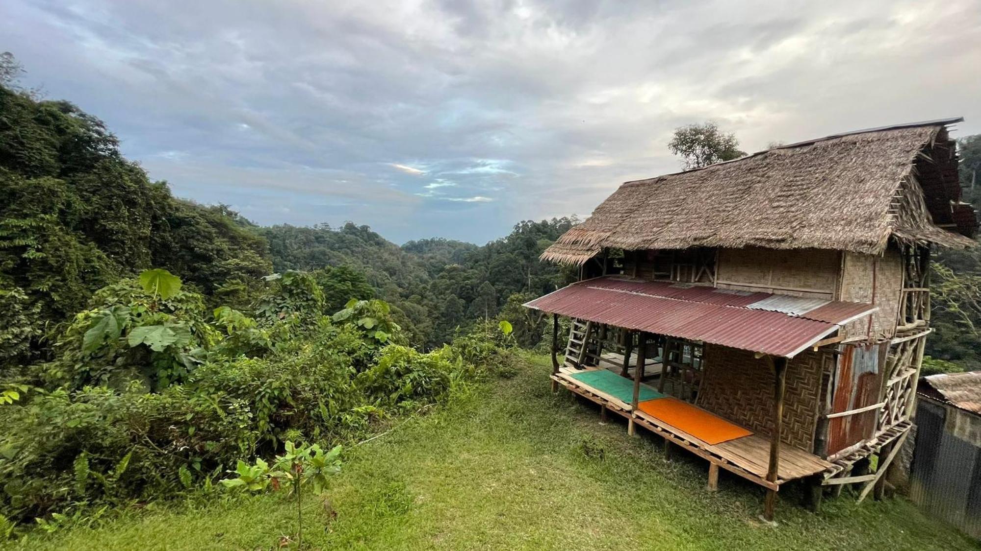 Orangutantreksumatra & Lovely Jungle Lodge Only Book If You Are Treking With Us Bukit Lawang Δωμάτιο φωτογραφία
