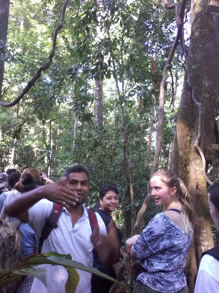 Orangutantreksumatra & Lovely Jungle Lodge Only Book If You Are Treking With Us Bukit Lawang Δωμάτιο φωτογραφία