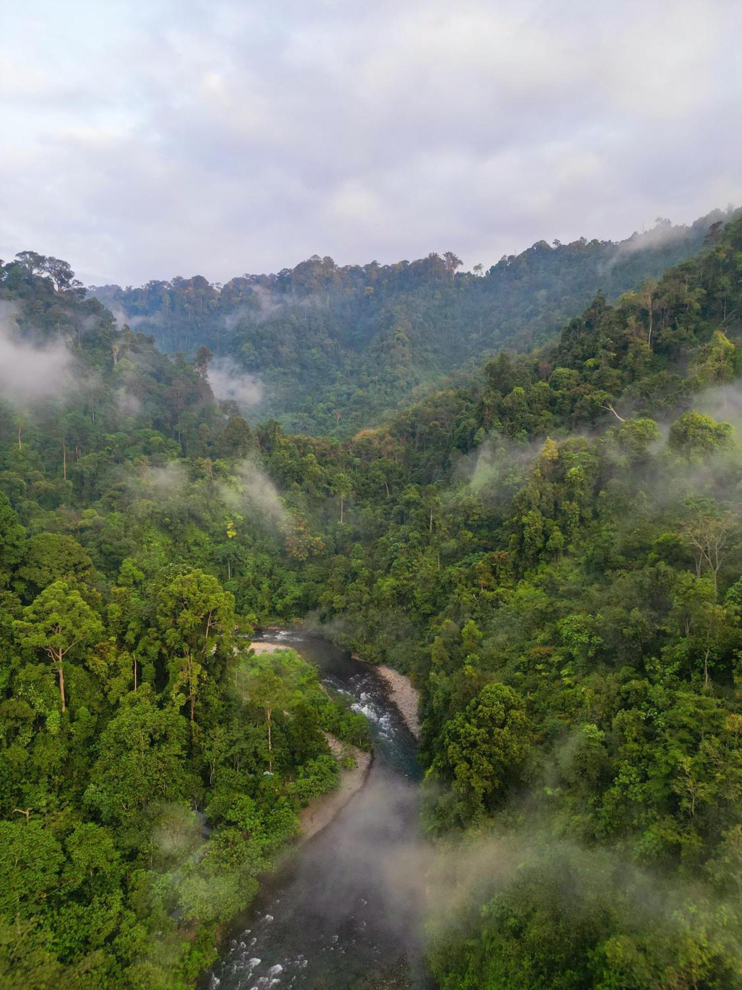 Orangutantreksumatra & Lovely Jungle Lodge Only Book If You Are Treking With Us Bukit Lawang Εξωτερικό φωτογραφία