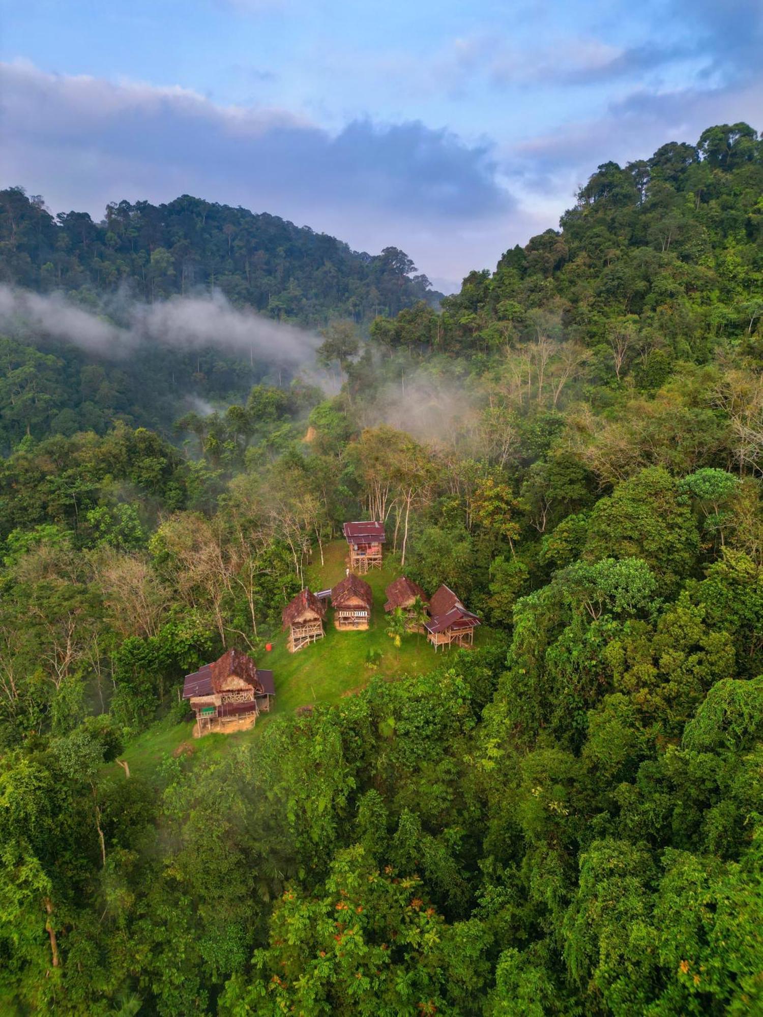 Orangutantreksumatra & Lovely Jungle Lodge Only Book If You Are Treking With Us Bukit Lawang Εξωτερικό φωτογραφία