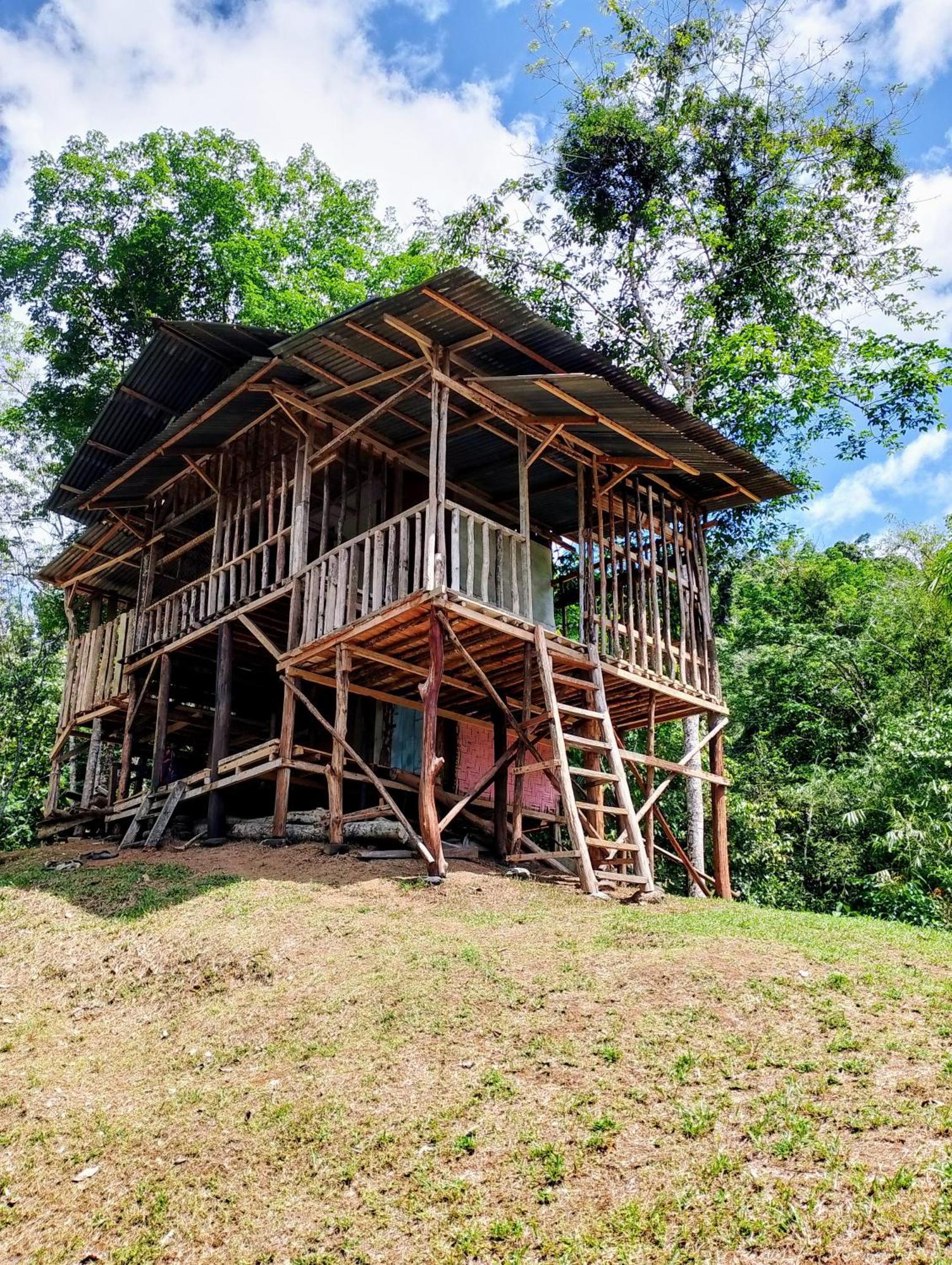 Orangutantreksumatra & Lovely Jungle Lodge Only Book If You Are Treking With Us Bukit Lawang Εξωτερικό φωτογραφία