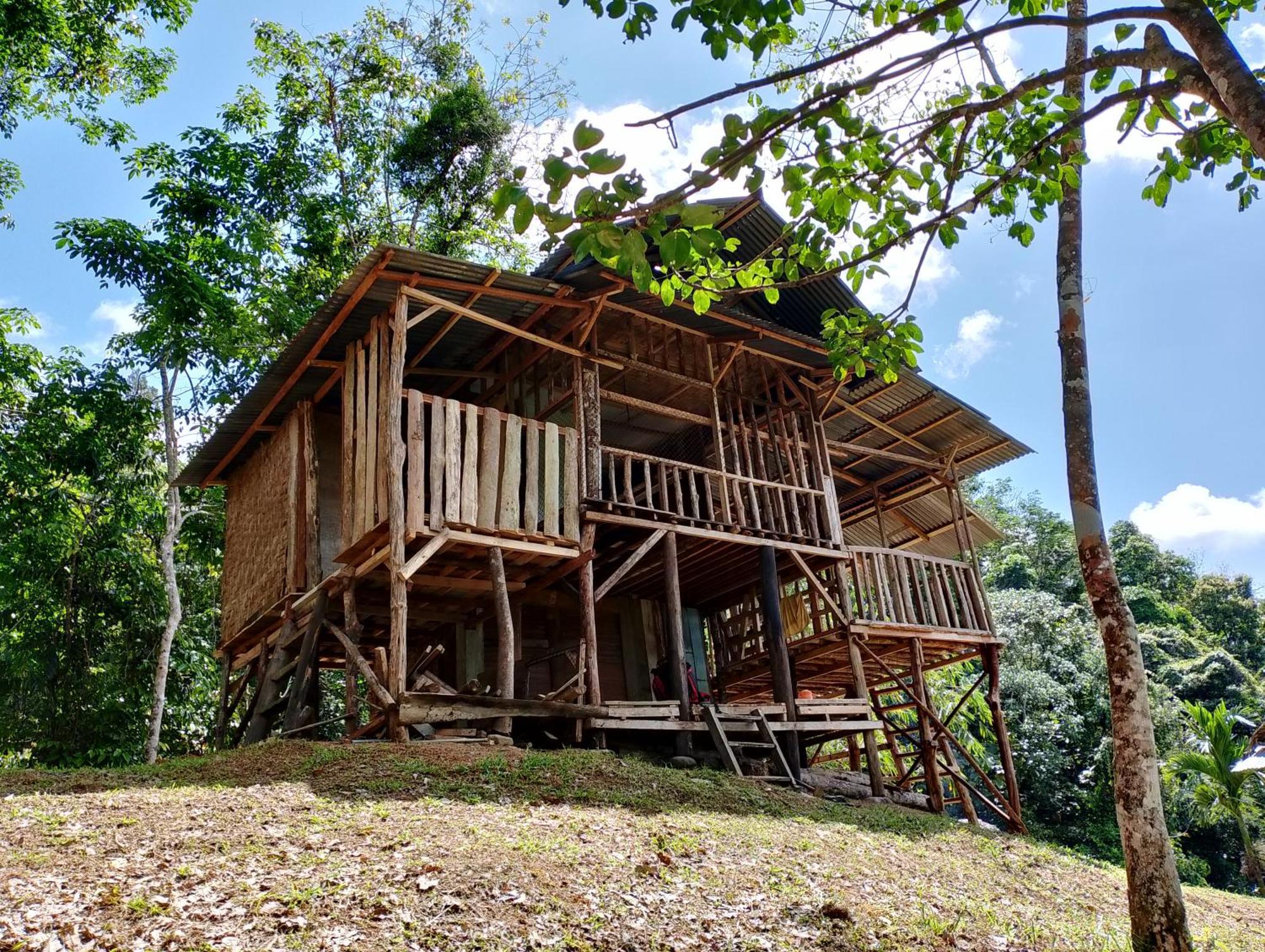 Orangutantreksumatra & Lovely Jungle Lodge Only Book If You Are Treking With Us Bukit Lawang Εξωτερικό φωτογραφία